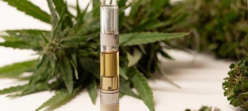 Guía 2025 para elegir E-Shisha y cigarrillos electronicos paraguay con sabores, precios y tiendas recomendadas