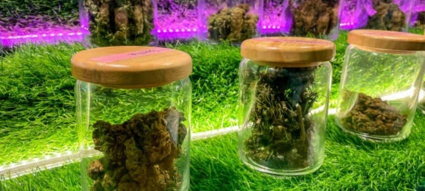 IBVape y su presencia en Plasencia guía de cigarrillos electronicos plasencia con ofertas, reseñas y consejos sobre IBVape